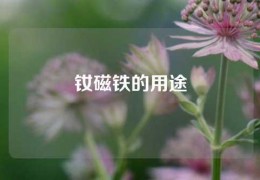 釹磁鐵的用途