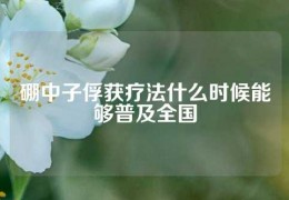 硼中子俘獲療法什么時(shí)候能夠普及全國(guó)