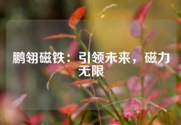 鵬翎磁鐵：引領未來，磁力無限