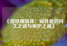 《釹鐵硼磁體：磁性能的持久之謎與保護之道》