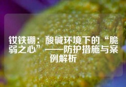 釹鐵硼：酸堿環境下的“脆弱之心”——防護措施與案例解析