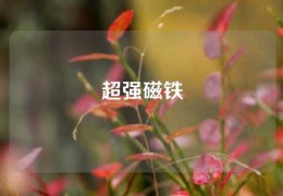 超強(qiáng)磁鐵