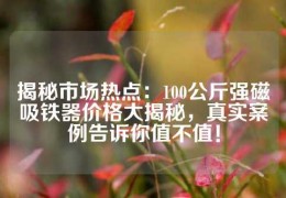 揭秘市場熱點(diǎn)：100公斤強(qiáng)磁吸鐵器價(jià)格大揭秘，真實(shí)案例告訴你值不值！