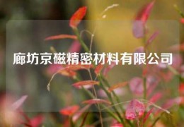 廊坊京磁精密材料有限公司