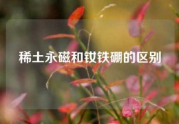 稀土永磁和釹鐵硼的區(qū)別