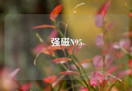 強(qiáng)磁N95