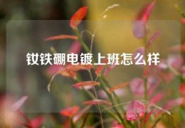 釹鐵硼電鍍上班怎么樣