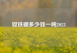 釹鐵硼多少錢一噸2023