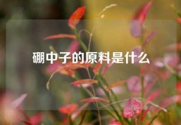 硼中子的原料是什么