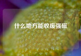 什么地方能收廢強磁