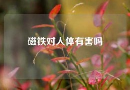 磁鐵對(duì)人體有害嗎