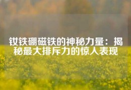 釹鐵硼磁鐵的神秘力量：揭秘最大排斥力的驚人表現