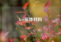 lert磁體材料