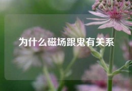 為什么磁場跟鬼有關系