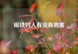 磁鐵對(duì)人有沒(méi)有危害