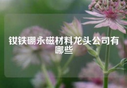 釹鐵硼永磁材料龍頭公司有哪些