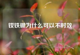 釹鐵硼為什么可以不時效