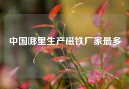 中國哪里生產(chǎn)磁鐵廠家最多