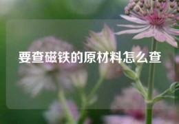 要查磁鐵的原材料怎么查