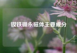 釹鐵硼永磁體主要成分