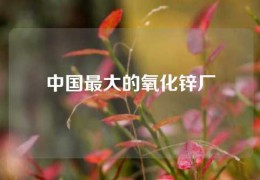 中國(guó)最大的氧化鋅廠