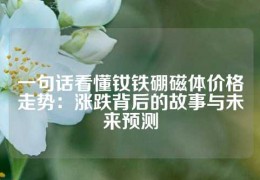 一句話看懂釹鐵硼磁體價格走勢：漲跌背后的故事與未來預測