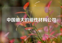 中國最大的磁性材料公司