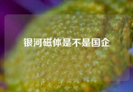 銀河磁體是不是國企