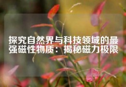 探究自然界與科技領域的最強磁性物質(zhì)：揭秘磁力極限