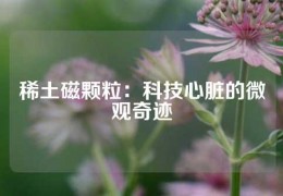 稀土磁顆粒：科技心臟的微觀奇跡