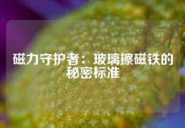 磁力守護者：玻璃擦磁鐵的秘密標準