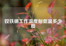 釹鐵硼工作溫度耐低溫多少度