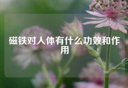 磁鐵對人體有什么功效和作用