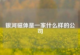 銀河磁體是一家什么樣的公司