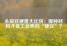 永磁鐵硬度大比拼：哪種材料才是工業(yè)界的“硬漢”？