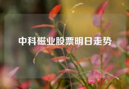 中科磁業(yè)股票明日走勢