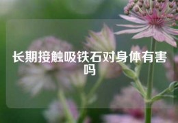 長期接觸吸鐵石對身體有害嗎