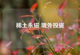 稀土永磁 境外投資