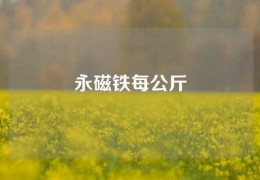 永磁鐵每公斤