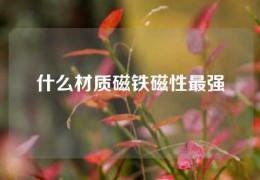 什么材質磁鐵磁性最強