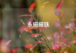 永磁磁鐵