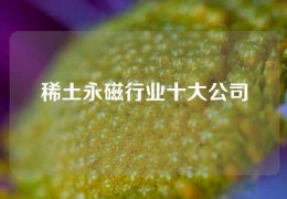 稀土永磁行業十大公司