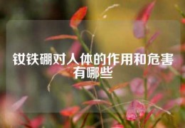 釹鐵硼對人體的作用和危害有哪些