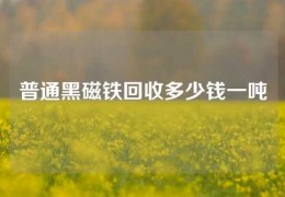 普通黑磁鐵回收多少錢一噸