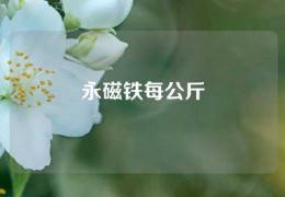 永磁鐵每公斤