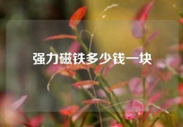 強(qiáng)力磁鐵多少錢一塊