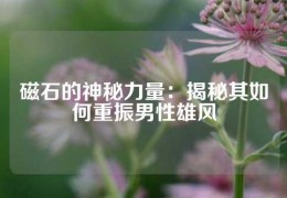 磁石的神秘力量：揭秘其如何重振男性雄風