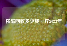 強磁回收多少錢一斤2023年