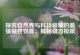 探究自然界與科技領域的最強磁性物質(zhì)：揭秘磁力極限