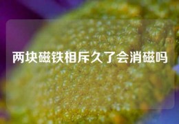 兩塊磁鐵相斥久了會(huì)消磁嗎